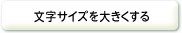 文字サイズを大きくする